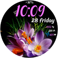 Butterfly 2 Animated Watchface