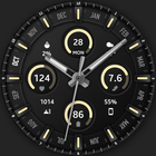 Business Sport Watch Face 图标