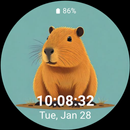 capybara cute_003-APK