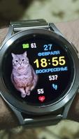 Пушистый друг "Люси" تصوير الشاشة 1