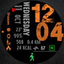 Watch face CRC010 APK