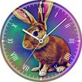 CELEST5426 Fun Watch