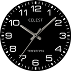 CELEST5473 Dress Watch icône