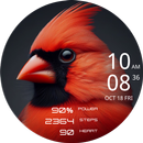 CELEST5490 Artistic Watch APK