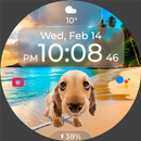 Chester Cute dog watch face APK