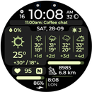 Chester Active WX APK