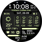 Chester Active WX icon