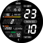Chester LCD2 watch face icon