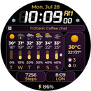 Chester Weather Pro v2 APK