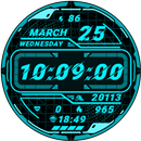 CSC 4A11 APK