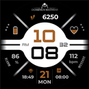 DM023 Elegant Watch Face APK