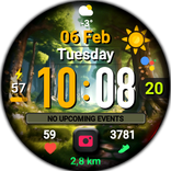 Flowers HD MOD 2 Watch Face