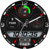 FSW200 WATCHFACE