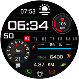 FSW201 WATCHFACE