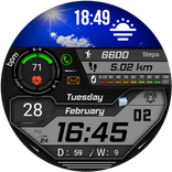 FSW223 Watchface
