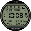 HMKWatch Digital 263 APK