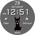 Animated Cat