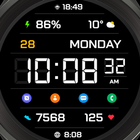 ikon LCD IV Watch Face