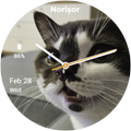 NorCat