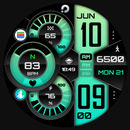 PRADO X142 Digital WatchFace APK