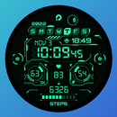 PRADO X167 HUD Watch Face APK