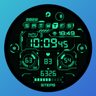 ikon PRADO X167 HUD Watch Face