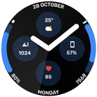 Round Basic Watch Face biểu tượng
