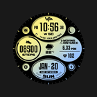 SamWatch FIT A 2024 icono