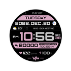 SamWatch Max 8 icon