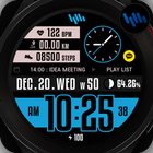 SamWatch SIGN I 2023 icon