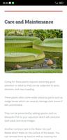 Water Lily Plant Care Guide screenshot 3