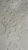 Water Drops HD Wallpaper 截图 3