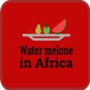 Watermelone in Africa APK