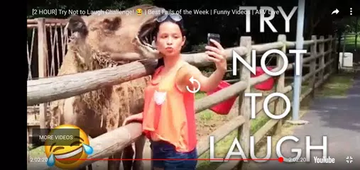 download Video divertenti APK