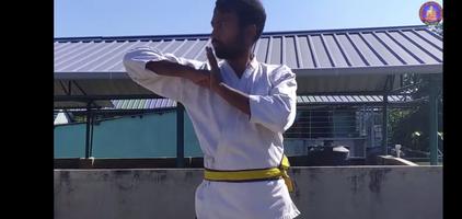 Học Kung Fu ảnh chụp màn hình 3