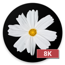 White Wallpapers 8K ULTRA APK