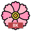 Rosado Fondos de pantalla 8K APK