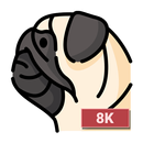 Pug Wallpapers 8K ULTRA APK