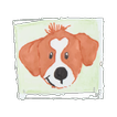 JHP App icon