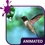 Colibri Live Wallpaper Theme icon