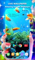 Coral Life Wallpaper HD Theme bài đăng