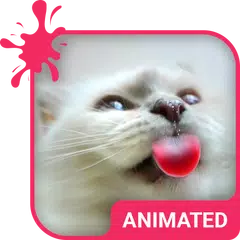 download Cat Love Live Wallpaper Theme APK