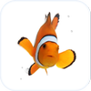 Fish Live Wallpaper Theme HD آئیکن