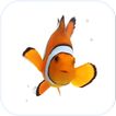 Fish Live Wallpaper Theme HD