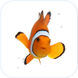 Fish Live Wallpaper Theme HD ไอคอน