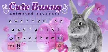 Cute Bunny Wallpaper Theme