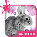 Cute Bunny Wallpaper Theme APK