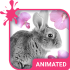 Cute Bunny Wallpaper Theme simgesi