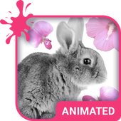 Cute Bunny Wallpaper Theme icône
