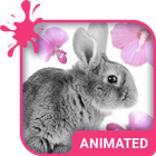 Cute Bunny Wallpaper Theme أيقونة